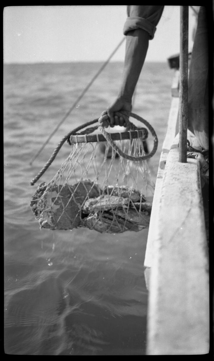 Image of a bag of pearlshell being lifted into a boat